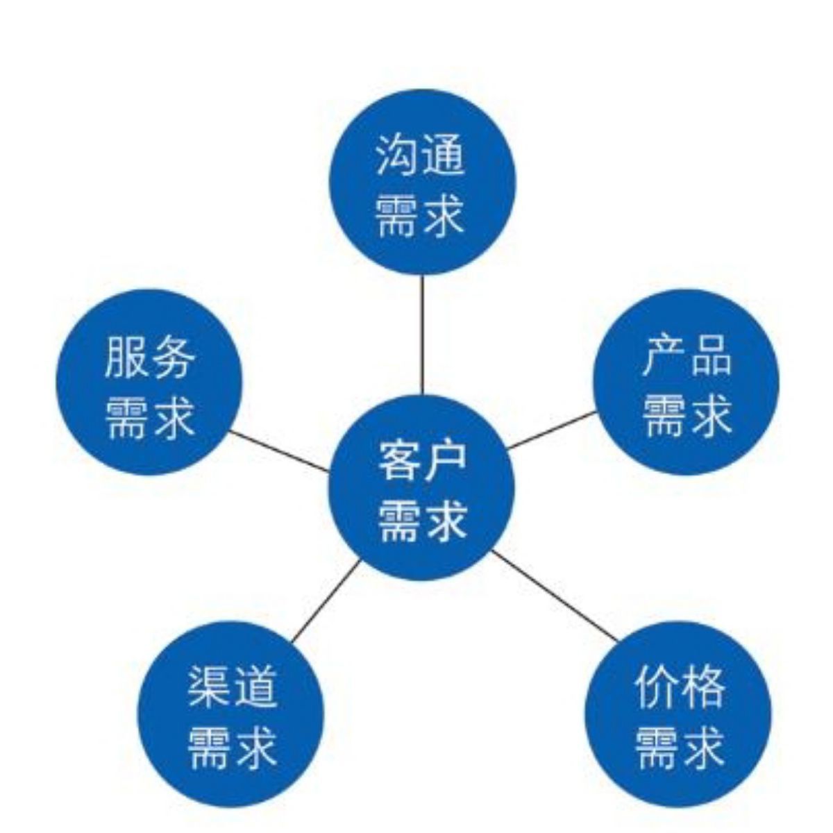 軟件開發(fā)的奧秘 從創(chuàng)意到成品的旅程